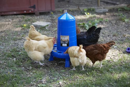 Double-Tuf® Poultry Feeder with Legs | Durable Feeding Container | Carrying Handle for Chickens & Birds | Chicken Feeder | 35 Lbs - size: 35 lbs