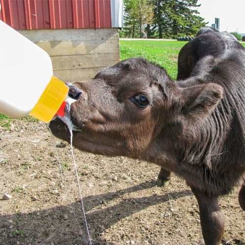 NUOBESTY 1 Set Lamb Feeding Bottles Calf Nursing Feeder Bottles with 8 Replaceable Nipples for Livestock Feeding