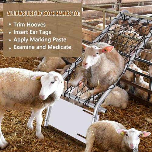 Deck Chair for Sheep Metal Sheep Chair Hoof Trimming Heavy Duty Goat Stand with Webbing Adjustable Width 10-16 Inch Livestock Handling Supplies for Hoof Trimming Lamb, 55.1" x 20.9"