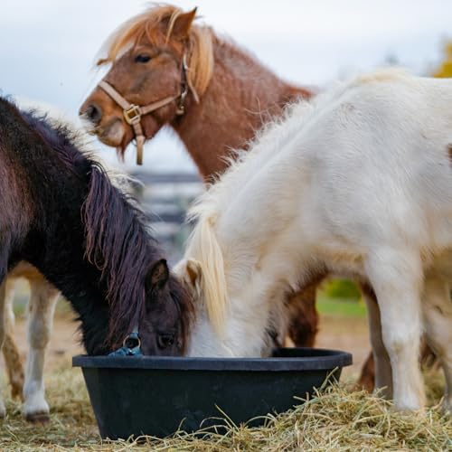 Red Barn 6.5 Gallon Rubber Feed Pan – Large Flexible Livestock Feed & Water Tub for Horses & Cattle – Heavy Duty Rubber Farm Utility Pan - size: 6.5 Gallon