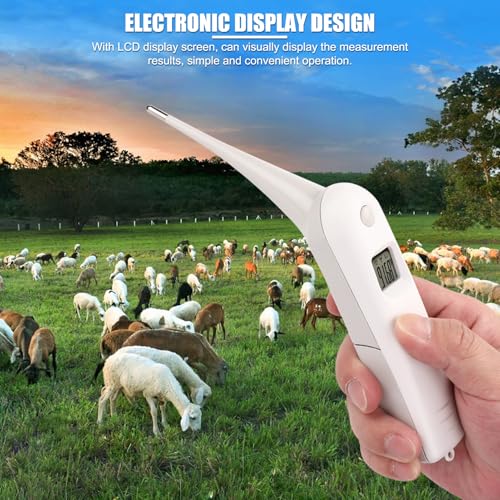 Professional Pet Veterinary Thermometer, LCD Display Fast Digital Thermometer for Livestock Pigs Cattle Sheep Dogs Horse
