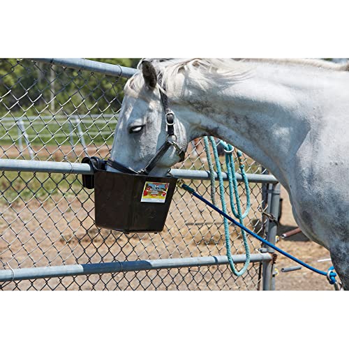 Little Giant® Plastic Hook Over Feeder | Mountable Livestock & Pet Feed Bucket | Horse Feed Bucket | Made in USA | 15 Quarts | Black - color: Black, size: 15 Quart