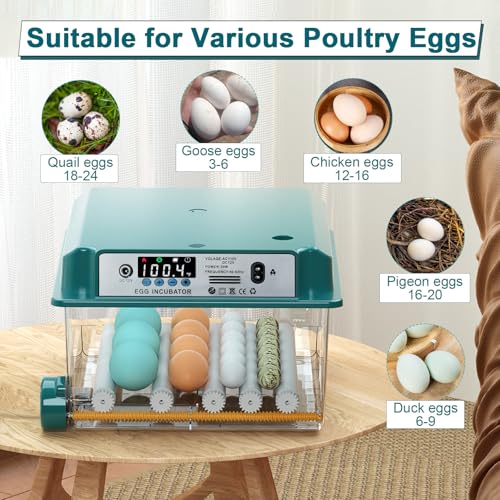 CoInceptus 16 Eggs Incubators for Hatching Eggs, Egg Incubator with Automatic Egg Turning and Temperature Control, Chicken Egg Incubators with Egg Candler for Duck Goose Pigeon Quail - size: 16 Egg