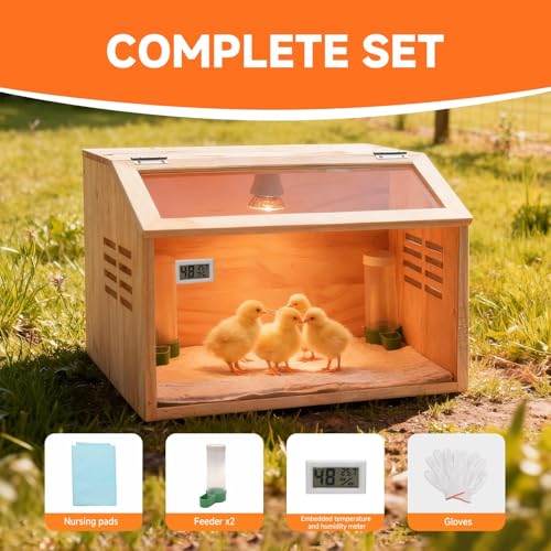 Wooden Chick Brooder Box with Heat Lamp and Thermometer, 15.7 x 12 x 12 in | Thick wood construction with pre-drilled holes suitable for chicks, ducklings, quail, hamsters small animals - size: 12.0"L x 15.7"W x 12.0"H