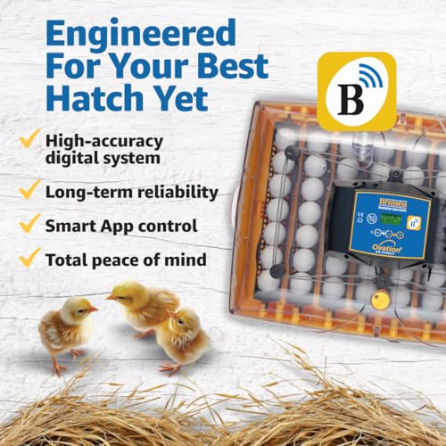 Brinsea Ovation 56 EX Connect Fully Automatic Smart Egg Incubator with App | 50+ years of innovation! Ultimate smart incubator with app-driven controls and real time alerts gives you total peace of mind - style: Connected