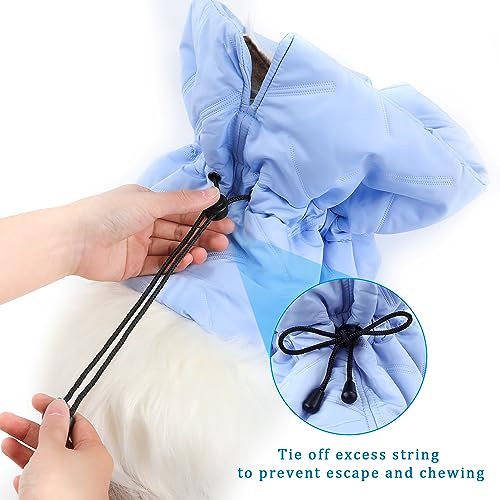 Adjustable Recovery Collar - Lightweight | Waterproof & Soft for Cats & Dogs - Prevents Licking Wounds (S) - color: light blue