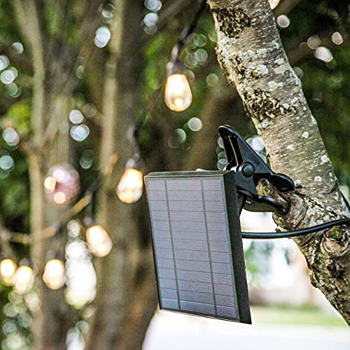 Brightech Replacement Solar Panel Ambience Pro - 2- Pin Half Moon Connector - Compatible ONLY with Brightech 1W Solar-Powered Outdoor String Lights - Commercial Grade - 1 Solar Panel - size: 1W String Lights Brightech Only