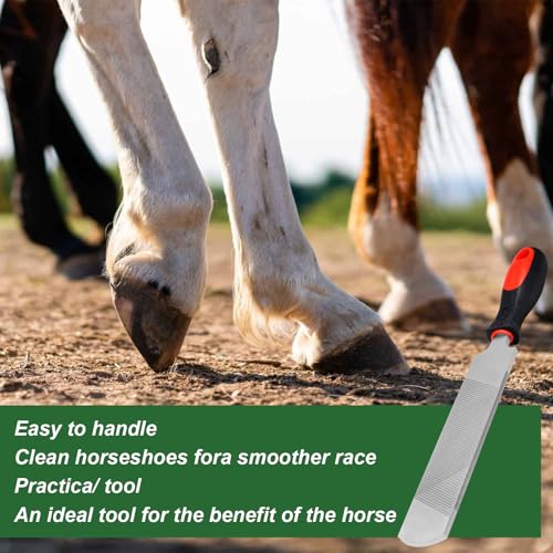 12 Inch Hoof Rasp, Carbon Steel Farrier File with Handle | Dual Sided Teeth, Hoof Trimming Tool, for Horse, Donkey, Cow, Goat & Livestock Hoof Care - size: 12 inches