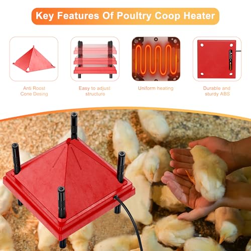 Chick Brooder Heater with Anti-Roost Cone & Constant Temp Red 12" x 12" | Height-adjustable brooder plate for Raising Chicks - size: 12" x 12" with Constant Temperature