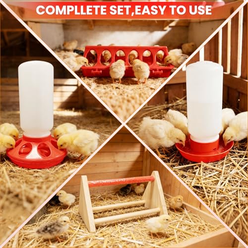 Chicks Brooder Box for Chicken Starter Kit–Includes Heat Lamp, Chick Feeder and Waterer Set, Perch & Sawdust for Up to 30 Baby Chicks, Ducklings & Quail–Complete Poultry Brooder Set