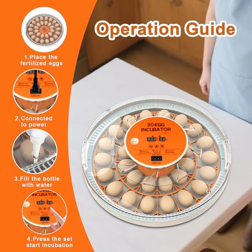 30 Egg Incubator with Automatic Egg Turning and Humidity Control,360 Degree View with Clear Window, Incubators for Hatching Eggs, Chicken, Ducks, Goose, Pigeon, Quail, Parrot - size: 30 Eggs