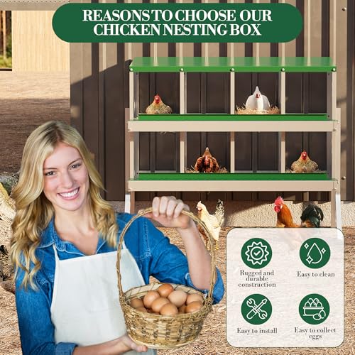 8 Holes Chicken Nesting Boxes, Nesting Boxes for Chickens, Easy to Clean and Install, Chicken Laying Box for Outdoor Chicken Coop Farm Yard, with Metal Legs, Green