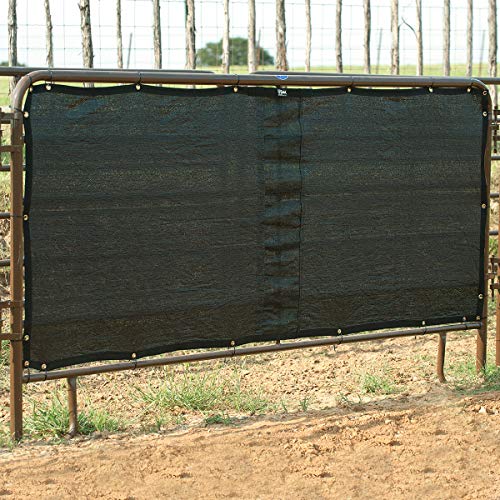 Cashel Stall Panel Screen, 10-Foot
