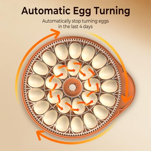 Incubators for Hatching Eggs, 26 Eggs Incubator with Automatic Egg Turning, Temperature & Humidity Control, Auto Water Refill, LED Egg Candler, Hatch Days Setting, for Chicken, Duck, Goose, Bird Eggs - color: Clear