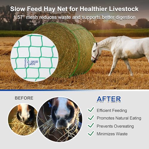 6x6 ft Round Bale Hay Net- Large Slow Feed Hay Net for Horses Goat Livestock, Knotless Sturdy Whole Bale Feeder with 1.57" Holes Fits for Round Bales 4x4 5x5, 6x6ft or Square 3x3x8, 4x4x8, 5x5x8ft - style: 6*6Ft(Green)
