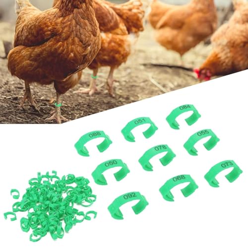 100PCS Chicken Leg Rings, Poultry Leg Bands 5 Colors Numbered Chicken Identification Leg Bands Rings Card Slots Design Poultry Leg Tags for Chicks Ducks (Green (100 Pieces per Pack)) - color: Green (100 Pieces Per Pack)