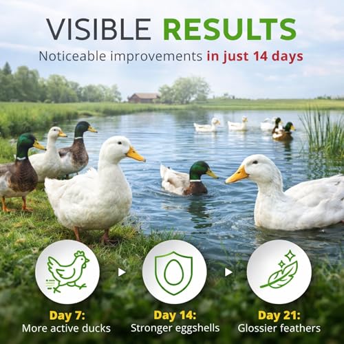 Herb Supplement for Ducks - Natural Waterfowl Treat, Botanical Duck Feed Additive, Plant-Based Flock Support for Egg Production, Feather Health & Daily Wellness, Handcrafted in USA (12 oz)