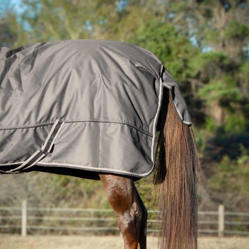 Jeffers Poplar Head Defense 1680 Denier Turnout Blanket with Extended Neck Design, Plymouth Brown 66"- 240g Polyfill, Waterproof, Breathable Horse Blanket, Ideal Protection for Winter, Medium Weight - size: 66 in