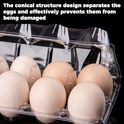 Plastic Empty Eggs Cartons 12 Count Clear Tray Bulk 160 Pack | 2x6 Grid Trays Egg Containers, Clear Stackable Fridge Storage for Chicken Farm Markets, Refrigerator Restaurant Use