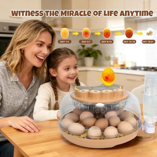 Series III-18 Egg Automatic Incubator with Smart Dual-Bottle Adaptive Humidity & Stable Temp Control, Adjustable Auto Egg Turn, Auto Lockdown, Customizable Incubation Days, Candler(18-Egg-Brown) - size: 18-Egg-Brown