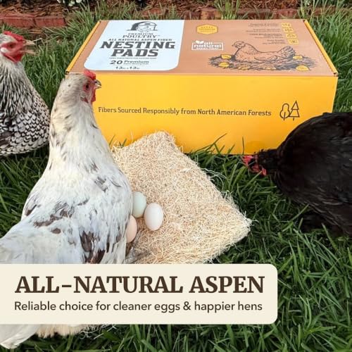 Aspen Chicken Nesting Pads, 13" x 13", 20 Pack, Made in USA | Trim-to-Fit Nest Box Liners for Chicken Coop, Excelsior Fiber, Moisture Absorbent, Cleaner Eggs & Easy Cleanup
