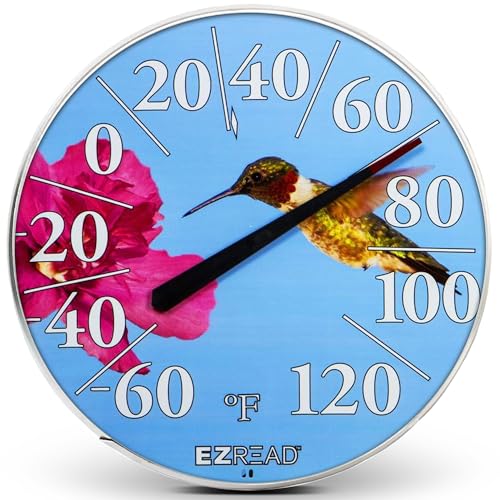 Headwind Consumer Products EZREAD Hanging Dial Thermometer - Weather Thermometers for Indoor and Outdoor Use, Large 12.5 Inch Diameter, Easy-to-Read Numbers, Hummingbird - color: Hummingbird