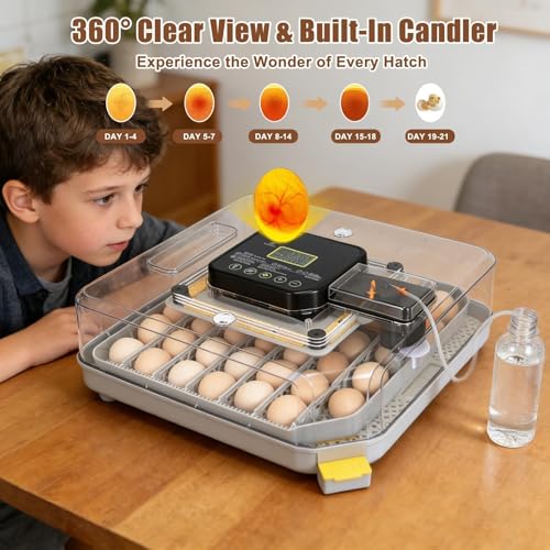 Nest IV - 48 Egg Incubator for Breeders, Fully Automated, Accurate Humidity & Temp Control, Chick Separator, Flexible Egg Spacing, Custom Incubation Days, Auto Turning & Auto Stop, Easy Monitoring - size: 48 Egg [Black]