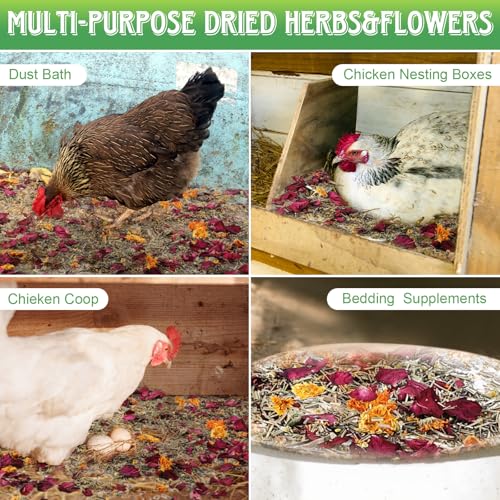 21Oz Chicken Nesting Herbs, 6 Natural Dried Herbs | Pleasant Fragrance, Improves Egg Quality, Keep Chickens Calm, Natural Ingredients for Chicken Coop, Nest Box, Dust Bath