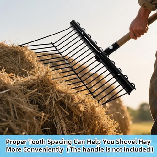 Cididu Pitch Manure Fork Head, Metal Pitch Fork for Garden, Durable Digging Fork Rake Head Replacement with Angled Tines, Stable Pitchforks Scoop for Mulch Horse Stall Picking up Hay Animal