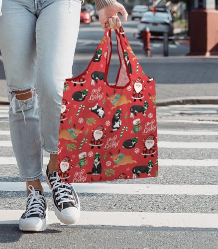 WIRESTER Reusable Grocery Tote Bag for Women, Foldable Shopping Bag, Cute Shoulder Bag, Beach Bag - color: Merry Christmas Black White Tuxedo Cat Playful