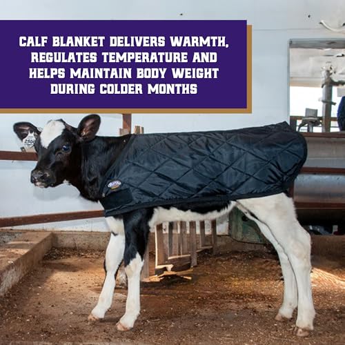 Weaver Livestock Warming Calf Blanket for Winter, Quilted Calf Coat with Buckle, Belly Protecting Livestock Shelter Blanket for Small Cattle