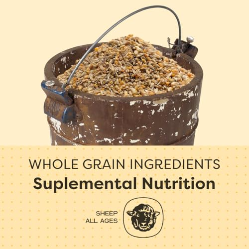 Scratch and Peck Feeds | Sheep Feed | Whole Grain Mash | 40 lb Bag | 15% Protein, Soy Free, Certified Organic & Non-GMO Project Verified, Supplemental Feed for a Forage Diet