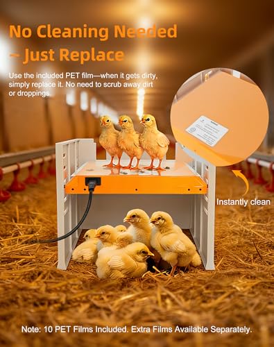 Chicken Coop Heater - Briidea 80W Chick Brooder Heating Plate with Constant Heat, 10 PET Cleaning Film, Adjustable Height & Angle, Cozy as a Mother Hen for 15 Small Poultry 10" x 10" - color: Fence style
