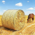 Round Bale Hay Net 4x4ft Large Round Bale Hay Nets for Horses Heavy Duty Slow Feed Hay Net Black Knotless Design for Horse, Cattle, Goat (4x4ft)