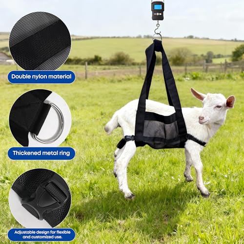 Calf Weighing Sling, Livestock Weight Sling for Lambs, Goats, Sheep & Piglets | Heavy Duty Animal Weight Scale Harness for Farm Use (Black) - color: Black