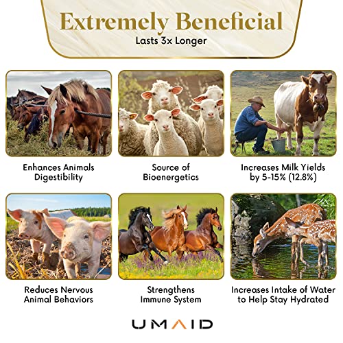 UMAID Himalayan Salt Lick 6 lbs on Rope for Horse, Deer, Goat & Livestock Animals, Salt Lick Deer, Salt Lick for Horses, Salt Block for Horses, Himalayan Salt Block 2 Pack - size: 6 Pound (Pack of 2)