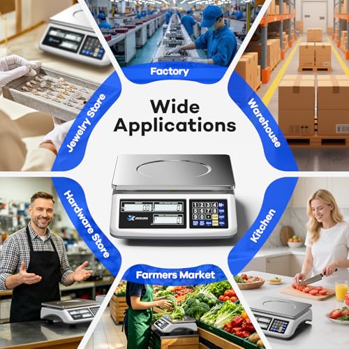 Counting Scale (66lb/30kg, 0.1g), lb/oz/g/kg Industrial Parts Scale with Dual LCD Display, Digital Inventory Scale for Small Parts Coins Pieces Tickets, Precision Gram Scale with Alarm Mode - style: 30kg x 0.1g with 3 Displays
