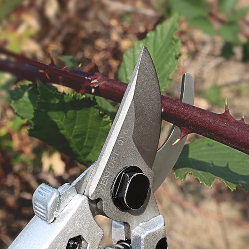 Zenport QV6 Premium Pruning Shear, 6-Inch, Red