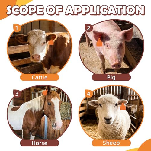 Blank Cattle Ear Tags 100PCS TPU Oversize 4.1x3 Inch Livestock Tags | Identification Tags for Cows Calves Cattle Goats Sheep Pigs Hog Fade Resistant Farm Animal Management (Orange) - style: Orange
