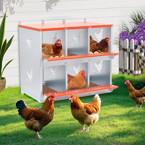6 Compartment Galvanized Steel Nesting Box Wall Mount | Galvanized Steel Rustproof & Weather Resistant|Vented Design Keeps Interior Dry & Odor Free|Tool-Free Assembly - size: 31.8"L x 17.0"W x 25.0"H