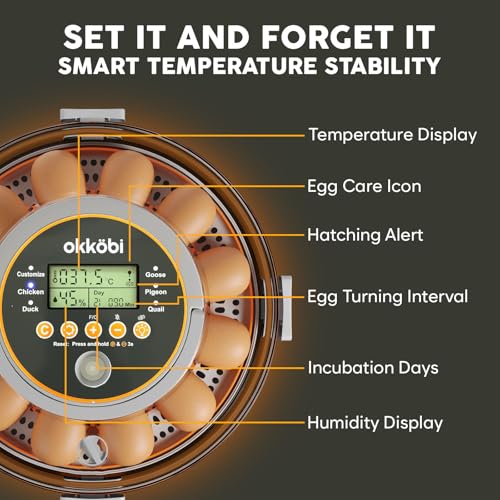 12 Egg Incubator with Automatic Egg Turning and Humidity Control – Temperature Adjustment – incubators for hatching eggs – Built-in Egg Candler – Incubadora de Huevos de Gallina – Easy to Use