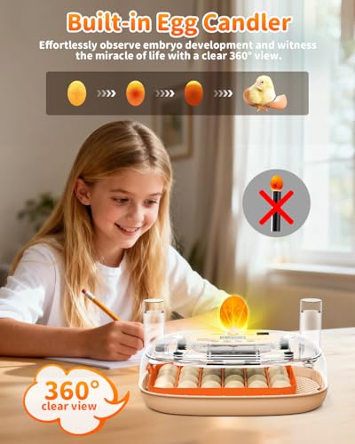 24 Egg Incubator with Automatic Turner Poultry Hatcher | Digital Temp Humidity Monitor, Low Humidity Alarm, External Water Bottles, Built-in Egg Candler for Chicken, Duck&Quail Eggs - color: Orange
