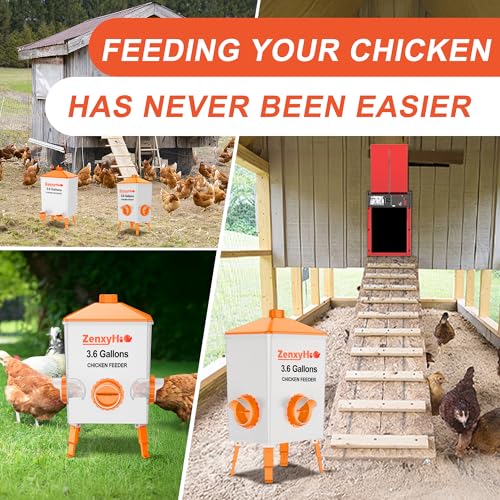 No Waste Chicken Feeders, DIY Automatic Poultry Feeder - 4 Ports Orange | Buckets Barrels Bins Troughs‑mountable Design for common Breeds of Chicken Flock with Hole Saw - size: 4 Ports