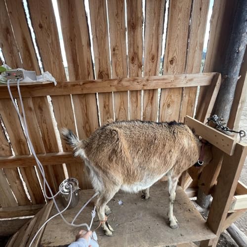 3L Goat Milking Machine,Battery Rechargeable Portable Milker,304 Food Bucket - size: 3L Goat