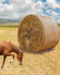 6x6ft Round Bale Hay Net, Knotless Slow Feeder Hay Net for Horses | Fits Round Bales 4x4 5x5 6x6ft and Square Bales 3x3x8 4x4x8 5x5x8ft, for Horses Cattle Sheep, with 1.75in Holes - size: 6x6Ft