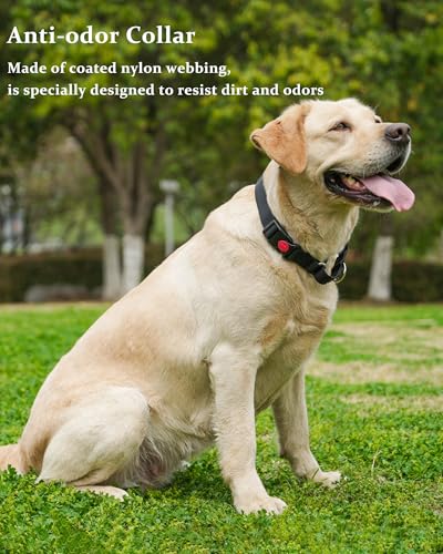 Waterproof Martingale Collar for Dogs,Easy to Clean Dog Collars with Safety Quick Release Buckle,Rubber Collar for Medium Large Dogs Walking Training (Black, M (16.5-20.8inch)) - color: Black, size: M (16.5-20.8inch)