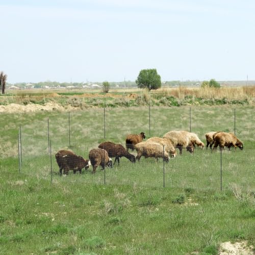 Non Electric Fence Netting 40" x100' Poultry Fence with Double Spiked Post | Portable Poultry Fence All-Purpose Fencing for Dogs, Chickens, Ducks, Turkeys Suitable in Backyard, Garden, Farm - size: 40in x 100ft