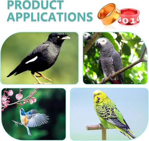 Bird Ring Leg Bands Aluminium Leg Rings Bird Identify Band for Hibiscus Birds, Parrots, Peonies, etc.Mixed Colors 50 PCS Per Pack（ID 8.0MM） - size: ID8.0MM