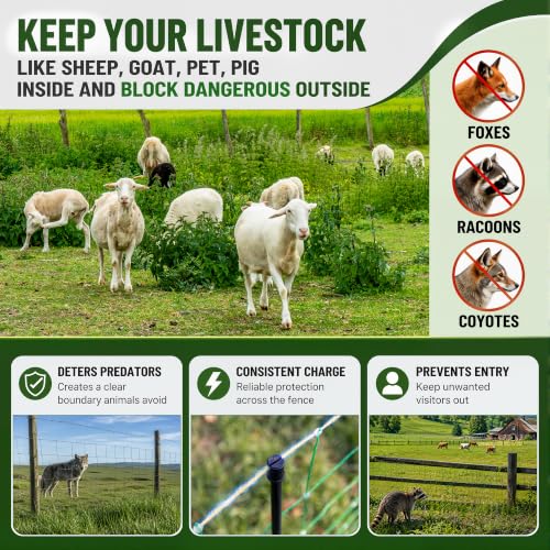 Electric Fence Netting 35.4" x 164', Portable Livestock Fencing with Fiberglass Posts, High Visibility, Safe & Humane Shock for Goats, Sheep, Hogs, Dogs & Predator Control, Need Energizer - size: 35.4in H*164ft L