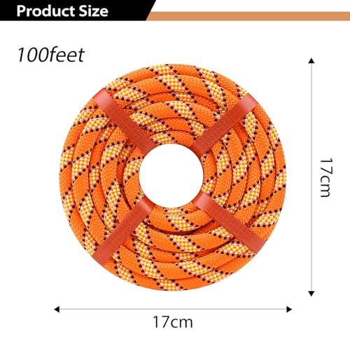 1/2 Inch Arborist Rigging Rope (100 Ft) - Orange Double Braid Polyester Tree Rope & Bull Rope, High Visibility Safety Line - 48 Strand High Tensile Strength - size: 1/2 In x 100 Ft, style: Orange